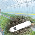 土に挿すだけで“見えない農業”が変わる？データで水分・肥料を可視化するIoTセンサー登場