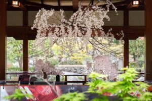 外交20周年のモナコで披露された「縁桜」　日本文化とサステナブル表現が響き合う空間演出