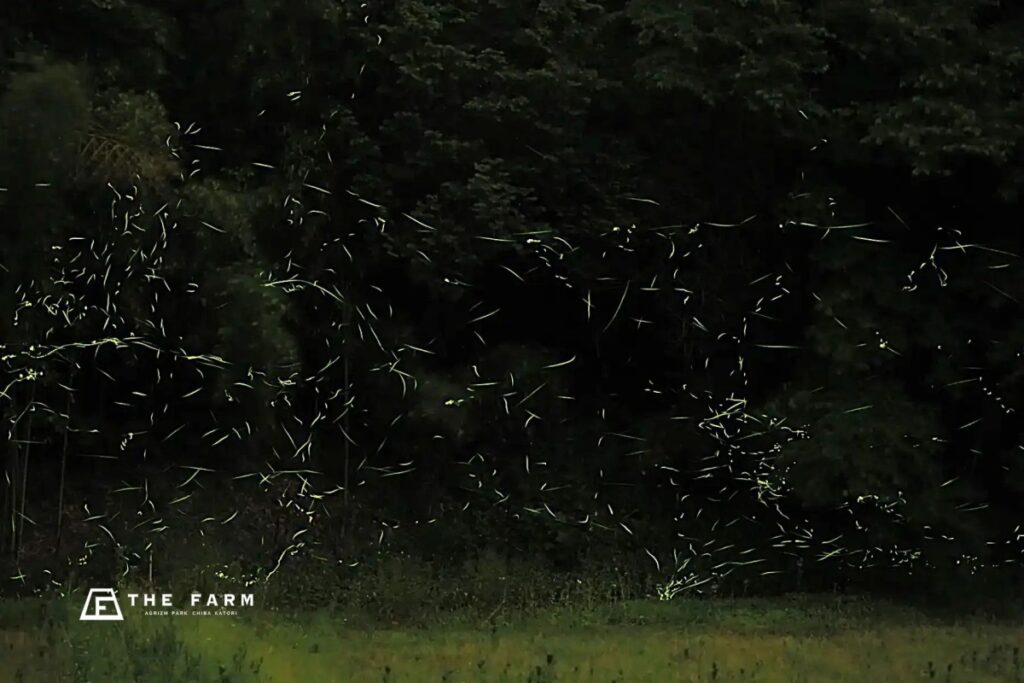 蛍が舞う水辺を未来へ　農園リゾート「THE FARM」がゴミゼロ運動を発表