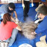 使い終えた漁網を新たな資源へ　下田海中水族館でリサイクルプロジェクト