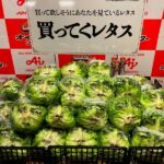 藤原竜也さんがレタス売場に登場？味の素が挑む夏のフードロス削減