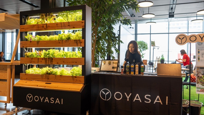 街に点在する小さな植物工場を「苗」でつなぐ　OYASAIの実証事業が農水省事業に採択