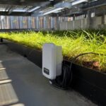 水やりを必要な時だけに、BHと戸田建設がIoTで屋上緑地の潅水量84.2％削減を実証