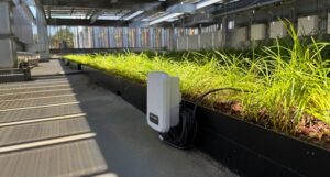 水やりを必要な時だけに、BHと戸田建設がIoTで屋上緑地の潅水量84.2％削減を実証